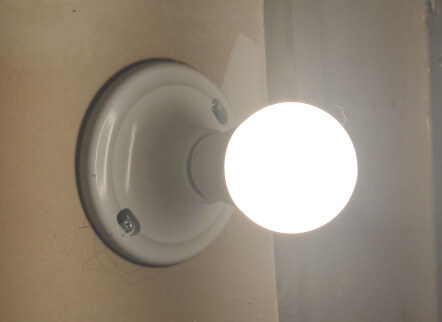 Picture of Sengled Smart LED Soft White A19 Light Bulb